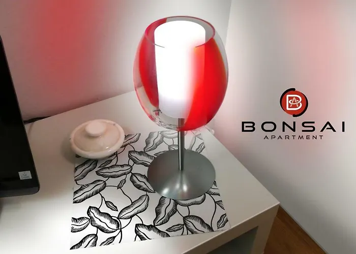 Bonsai Torino